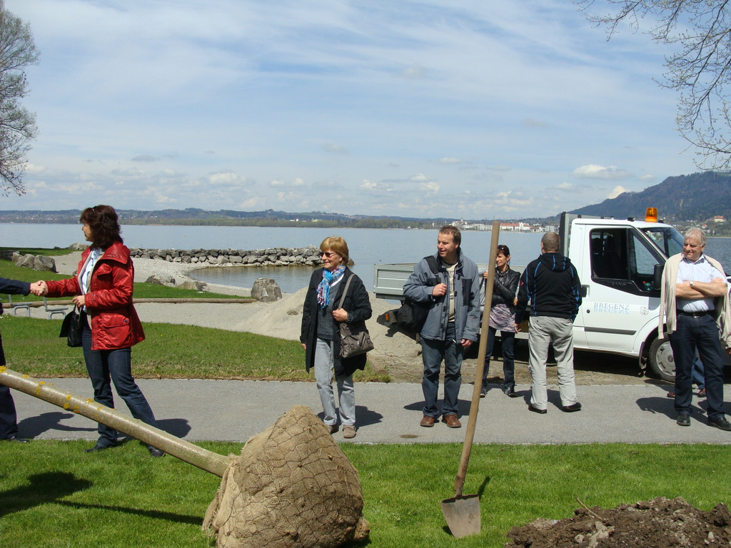 lBaumpflanzen 029.jpg