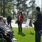 lBaumpflanzen 050.jpg