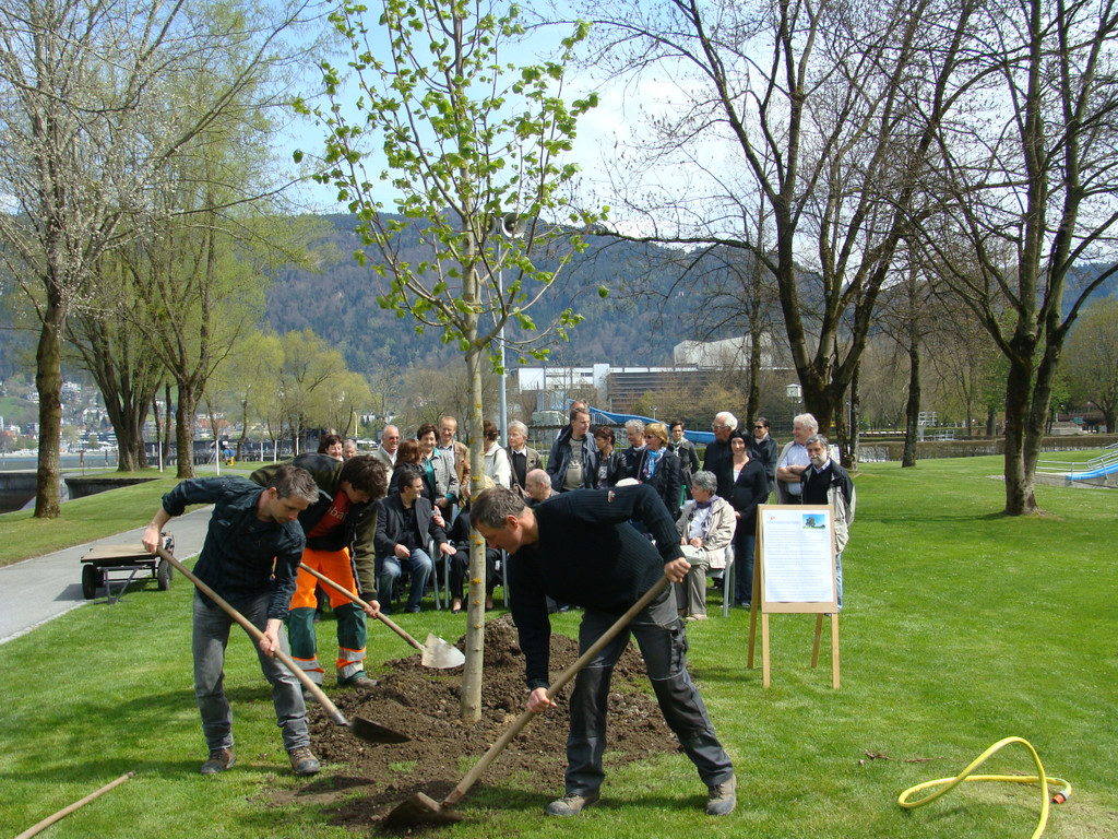 lBaumpflanzen 058.jpg