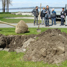 lBaumpflanzen 033.jpg