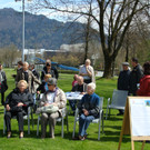 lBaumpflanzen 035.jpg