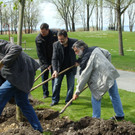 lBaumpflanzen 055.jpg