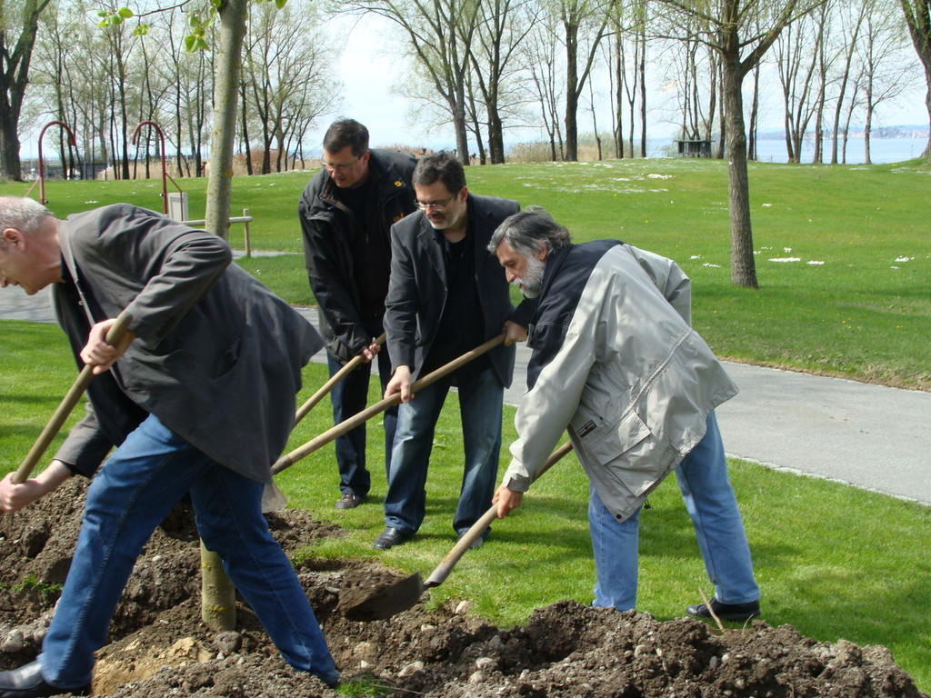 lBaumpflanzen 055.jpg