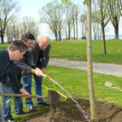 lBaumpflanzen 062.jpg