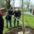lBaumpflanzen 063.jpg