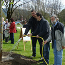 lBaumpflanzen 065.jpg