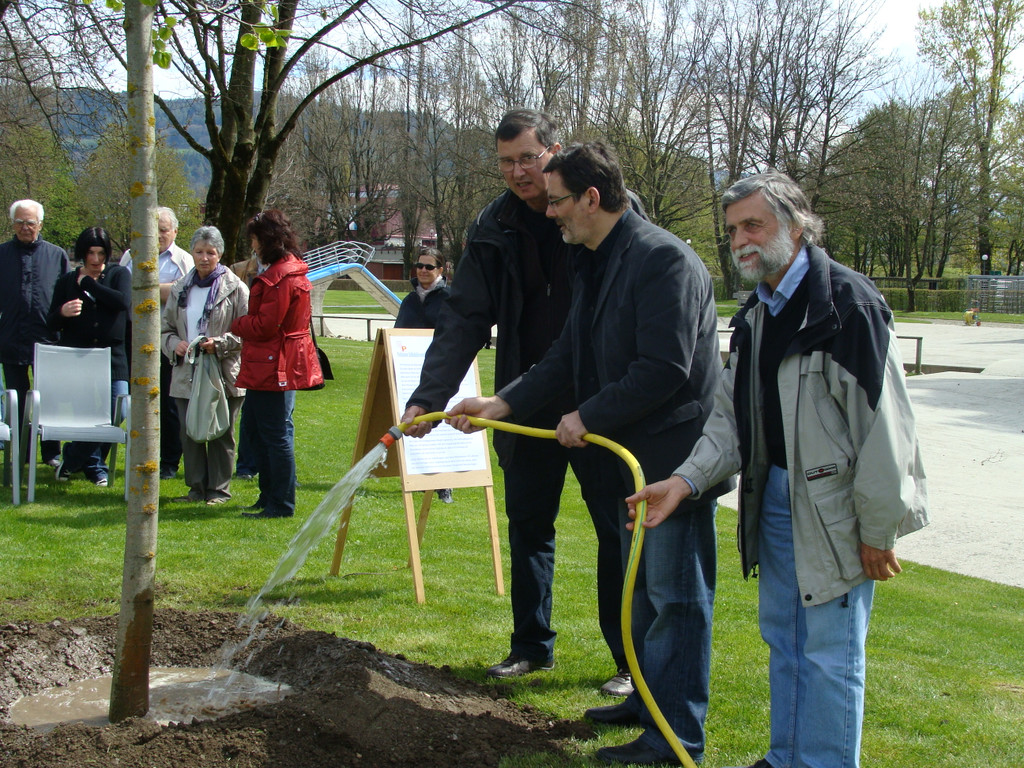 lBaumpflanzen 065.jpg