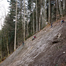 BR-Pflanzaktion-003.jpg