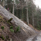 BR-Pflanzaktion-004.jpg