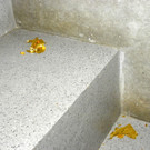 114_4018_JPG-1335212926