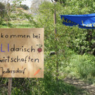 Besetztes Feld in Floridsdorf