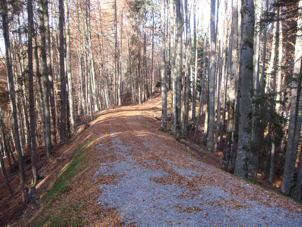 DSC01446.JPG