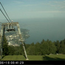 Livecam Muster