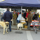 114_3931_JPG-1335300243