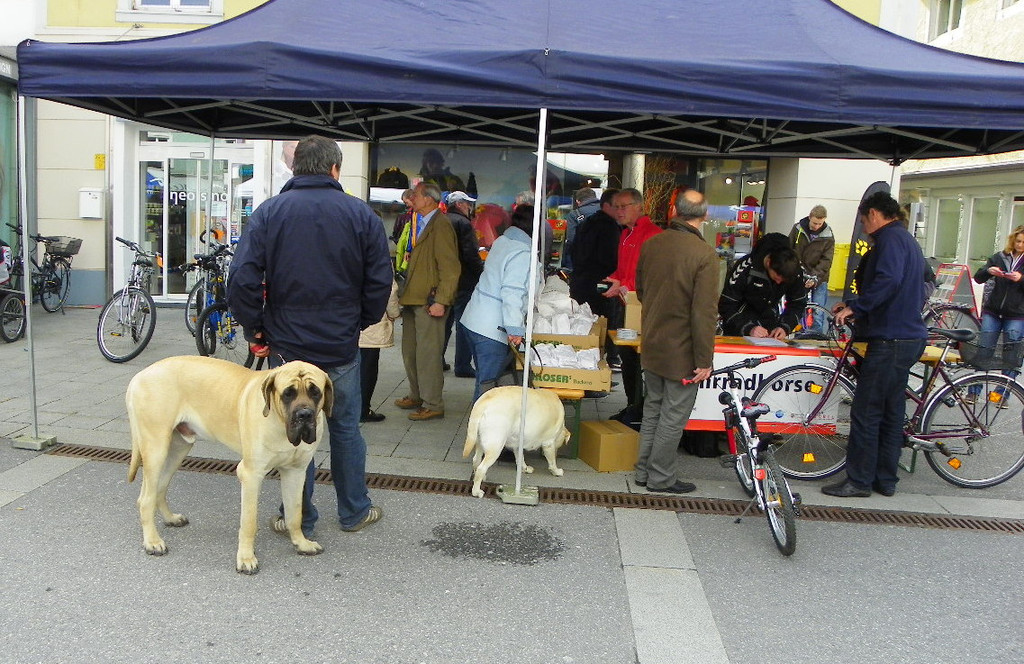 114_3931_JPG-1335300243