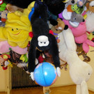 114_2599_JPG-1335302853