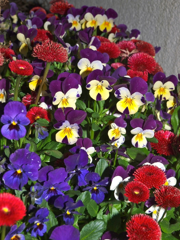 Atelier Matt Kunst und Genuss 2012 _23__jpg-1335354161