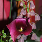 Atelier Matt Kunst und Genuss 2012 _35__jpg-1335354229