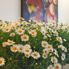 Atelier Matt Kunst und Genuss 2012 _51__jpg-1335354313
