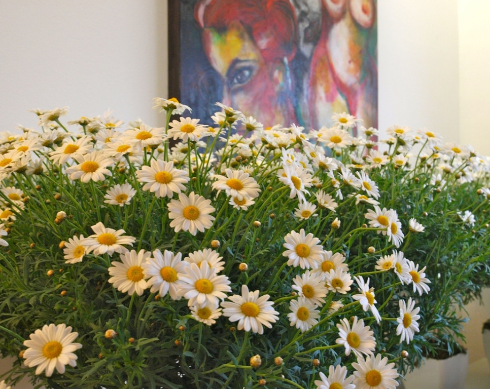 Atelier Matt Kunst und Genuss 2012 _51__jpg-1335354313