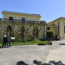 Affenhaus in Schönbrunn neu eröffnet