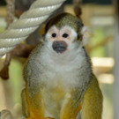 ABD0109-20120425.jpg