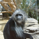 ABD0110-20120425.jpg