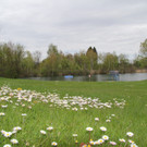 Das ist das Freibad Rheinauen