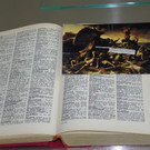 114_4002_JPG-1335386014