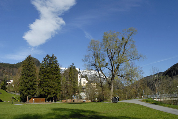 Tschagguns - 005 - Copyright by Gerhard Scopoli.jpg