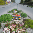 Fruehling in Lochau 2012 _37__jpg-1335450616