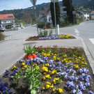Fruehling in Lochau 2012 _6__jpg-1335450433