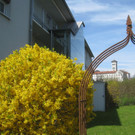 Fruehling in Lochau 2012 _12__jpg-1335450471