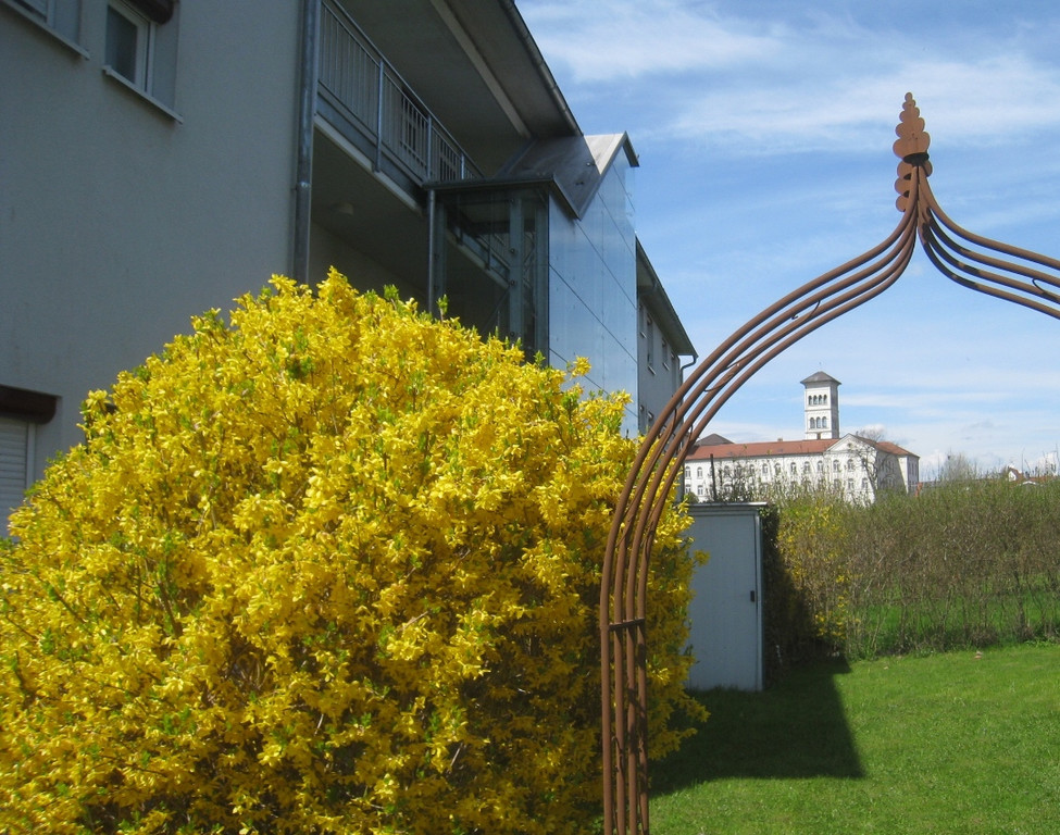 Fruehling in Lochau 2012 _12__jpg-1335450471