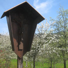 Fruehling in Lochau 2012 _16__jpg-1335450496
