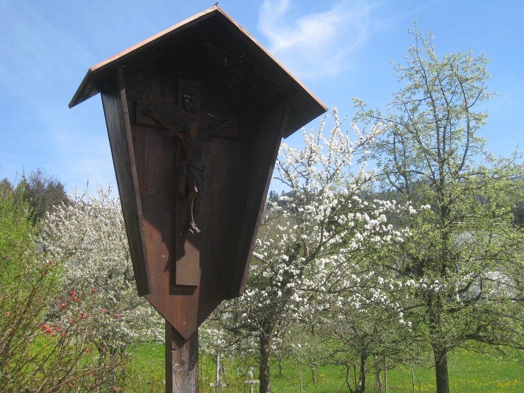 Fruehling in Lochau 2012 _16__jpg-1335450496