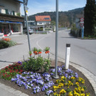 Fruehling in Lochau 2012 _8__jpg-1335450445