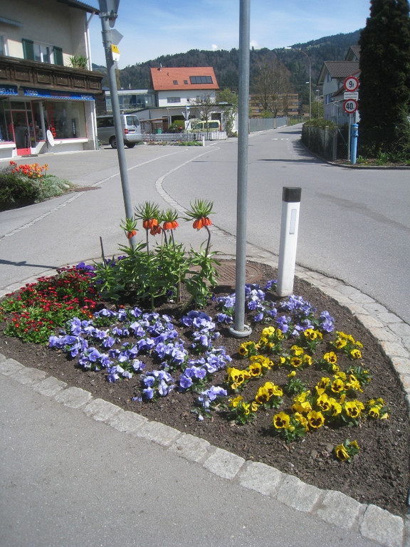 Fruehling in Lochau 2012 _8__jpg-1335450445