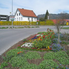 Fruehling in Lochau 2012 _33__jpg-1335450591