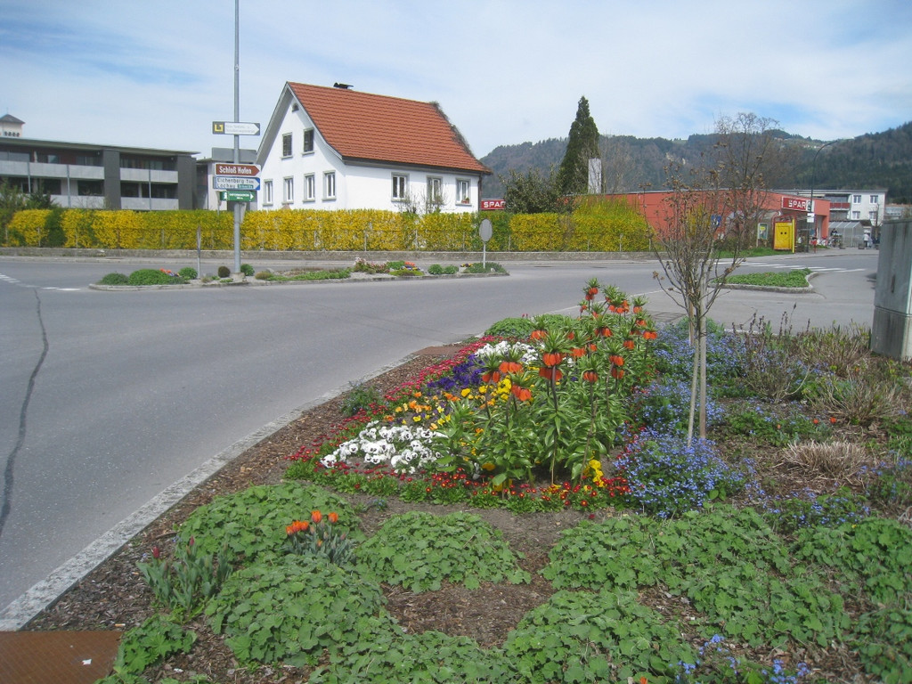 Fruehling in Lochau 2012 _33__jpg-1335450591
