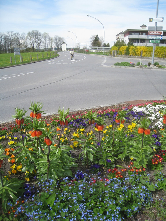 Fruehling in Lochau 2012 _35__jpg-1335450604