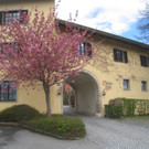 Fruehling in Lochau 2012 _20__jpg-1335450516