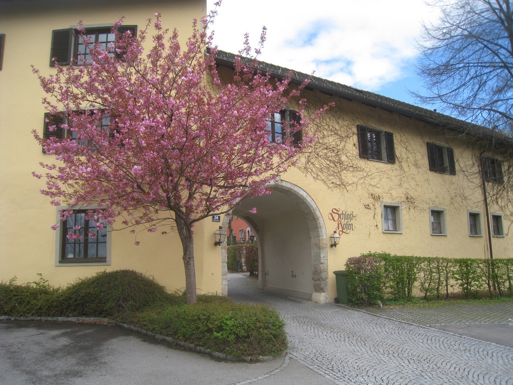 Fruehling in Lochau 2012 _20__jpg-1335450516