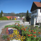 Fruehling in Lochau 2012 _23__jpg-1335450536