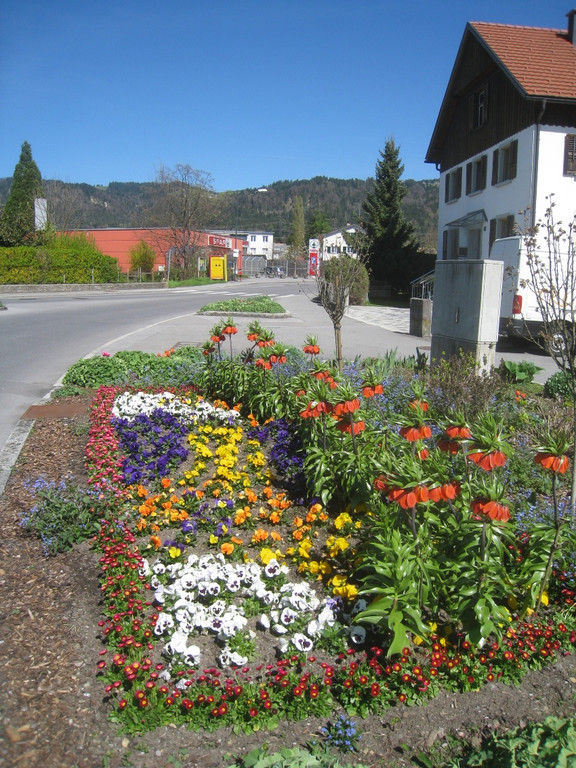 Fruehling in Lochau 2012 _23__jpg-1335450536