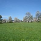 Fruehling in Lochau 2012 _24__jpg-1335450541