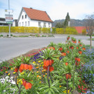 Fruehling in Lochau 2012 _36__jpg-1335450610