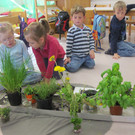 Käferlekinder entdecken Petras "Käuter-wiesen-garten"