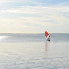 DSC_5937.jpg
