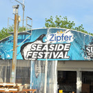 DSC_5956.jpg